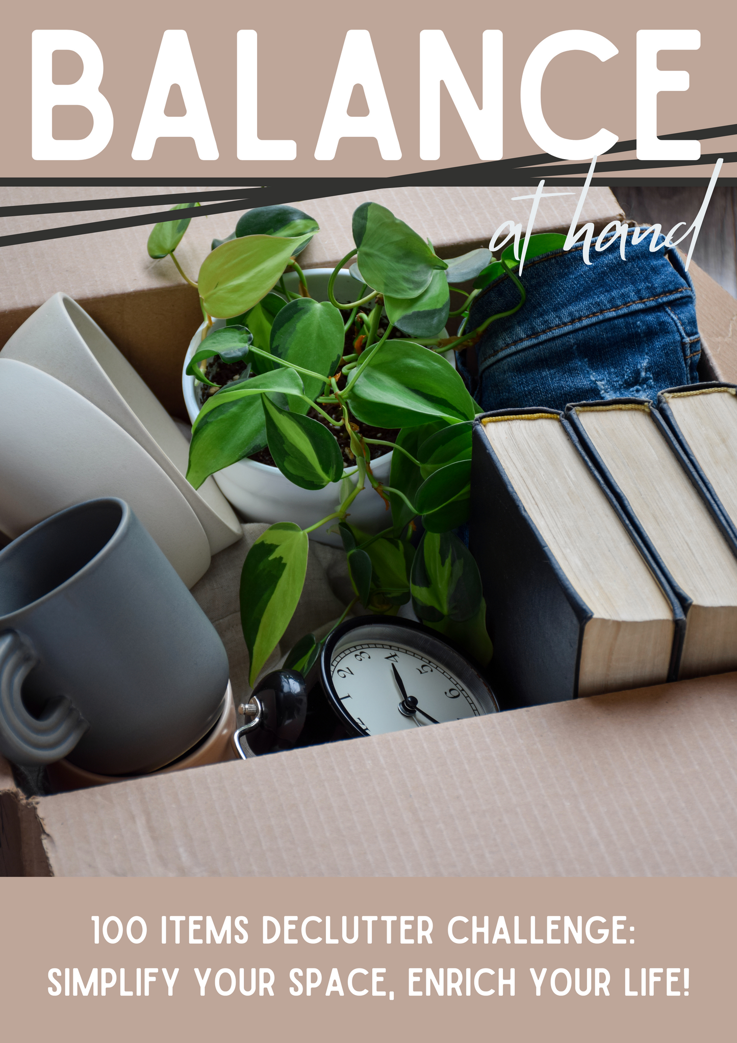 100 Items Declutter Challange