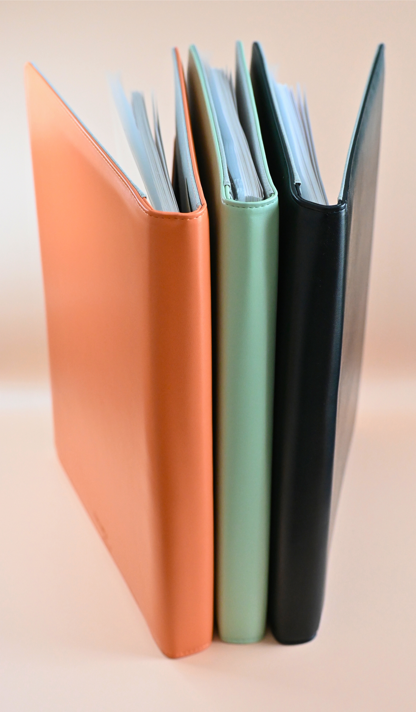 The Important Life Document Folder - Desert Flower